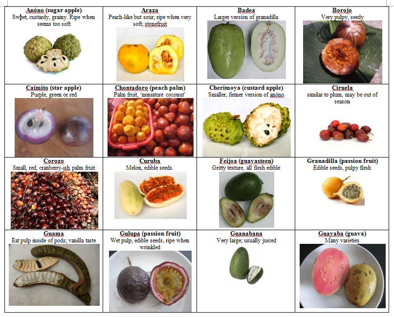 COLOMBIA REPORT #2 - FRUIT FILES - Snack Semiotics
